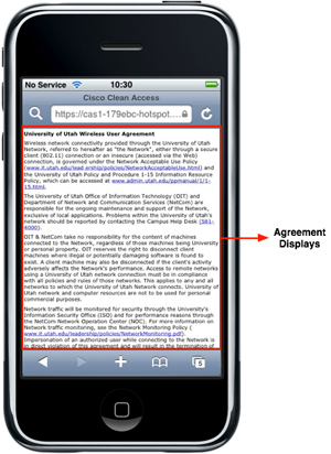 iPhone - hotspot agreement displays