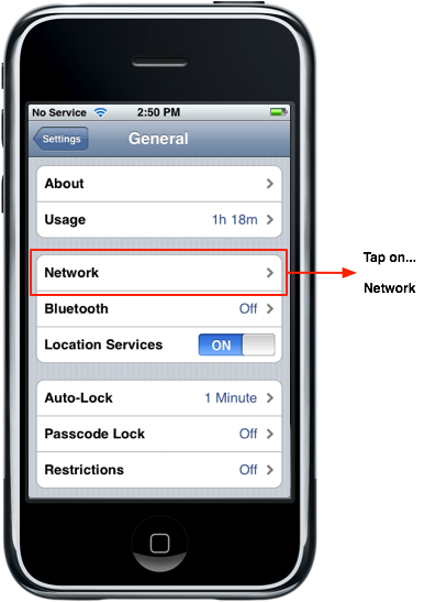 iPhone - Network Setting
